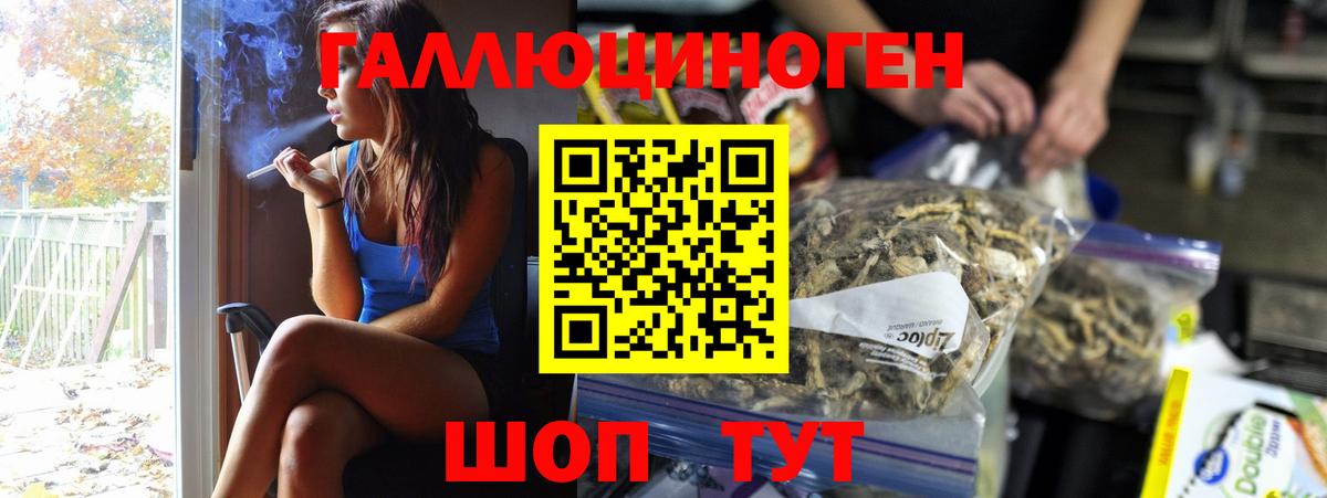 Галлюциногенные грибы GOLDEN TEACHER  Псилоцибиновые грибы GOLDEN TEACHER  Вход с VPN  Тайшет 