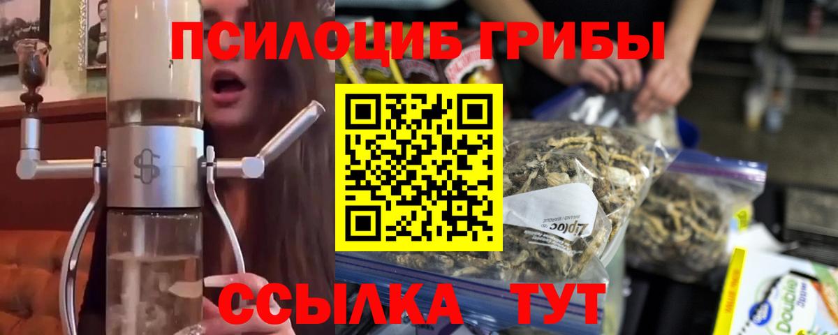 Псилоцибиновые грибы GOLDEN TEACHER Тайшет